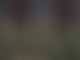 米軍コールドウェザーグローブ