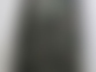 スイス軍TAZ90ジャケット