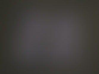 ドイツ軍レザーグローブ