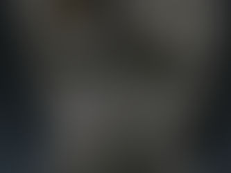 東ドイツ軍スナイパーグローブ