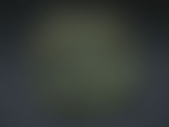 米軍ナイロンキャンティーンカバー