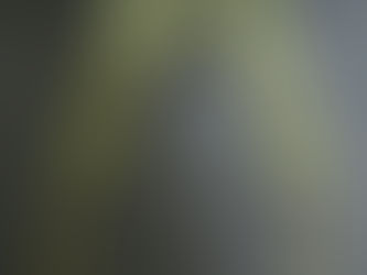 米軍LC1サスペンダー