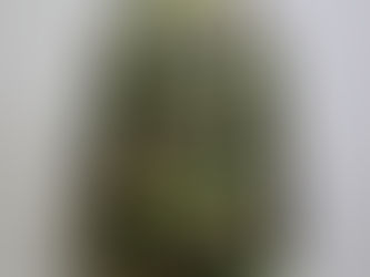 チェコスロバキア軍サラマンダーカモパーカー