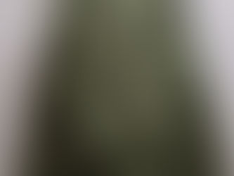 米軍USN TYPE3ゴアテックス パーカー