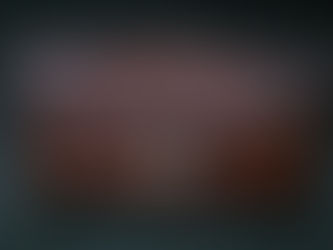 スイス軍レザーポーチ