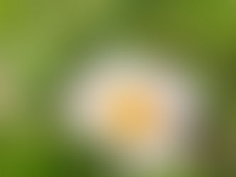 大切な日のために美しい姿を