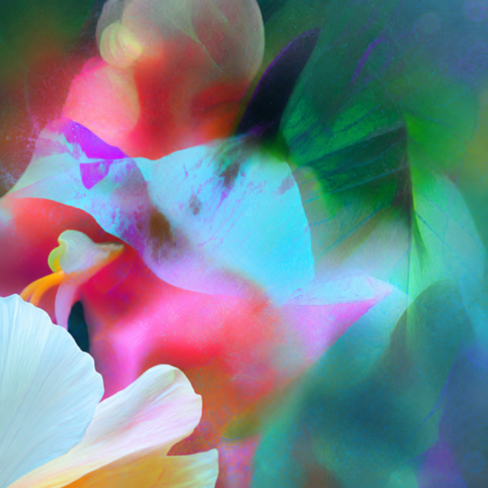 Benefizkonzert «For the Beauty of the Earth» am 25. Juni