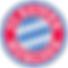 bayern munchen, bundesliga, billetter bundesliga, bayern munchen billetter, fotballtur bayern munchen, fotballtur tyskland, fotballreise bayern munchen