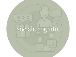 De verschillende hersenfuncties en dementie: Sociale cognitie