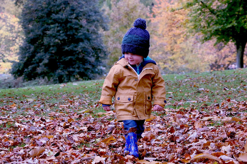 Child in Autumn Park