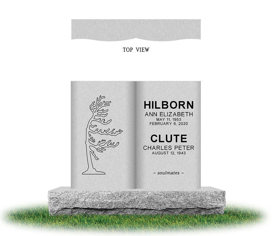 CLUTE_HILBORN_BARRE_STEELED