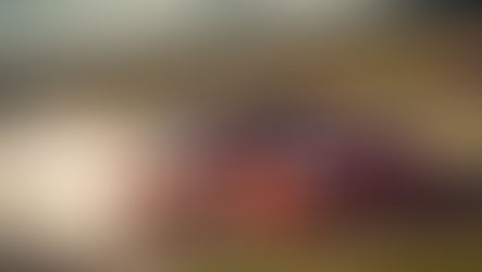 Cum am avut un democar 326Power in Romania iar apoi l-am distrus