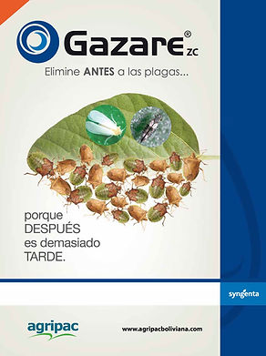 WhatsApp Image 2025-10-27 at 18.24.11.jpeg