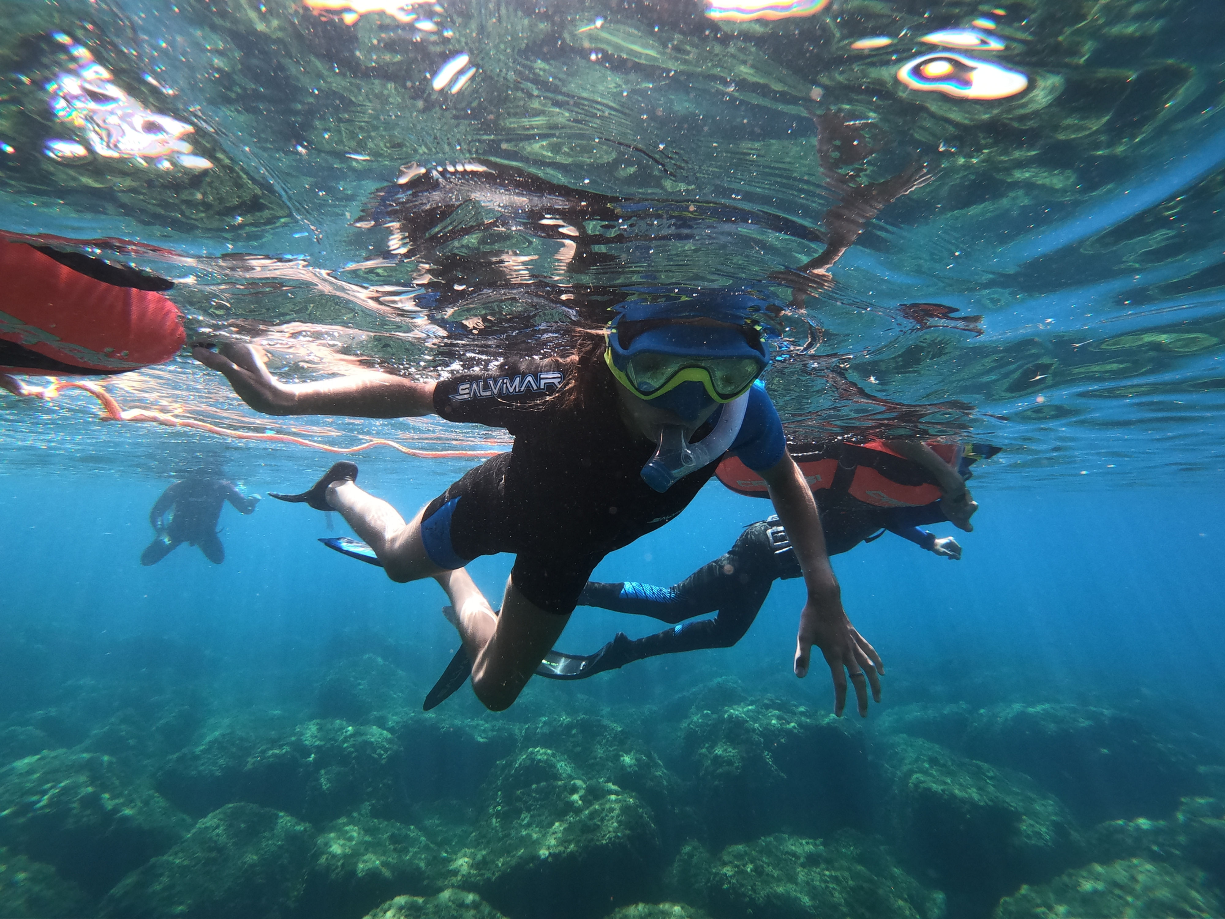À la découverte des fonds marins