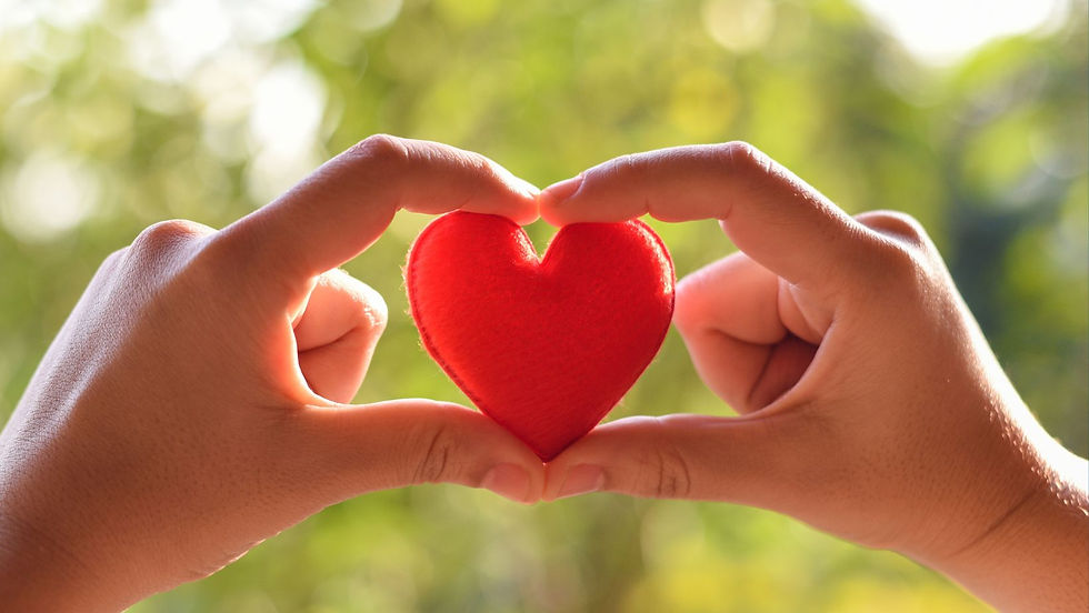 hands hold a heart