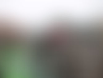 Canal Grande tinto di verde: daspo a Greta Thunberg e altri 36 attivisti