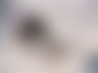 Roma, orrore su una gattina a Tor Tre Teste: Codici Ambiente esprime sdegno e chiede pene esemplari