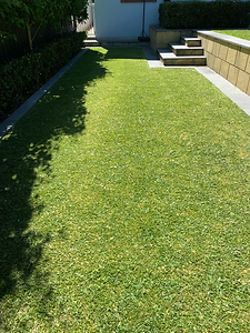 Quality finish.HEIC