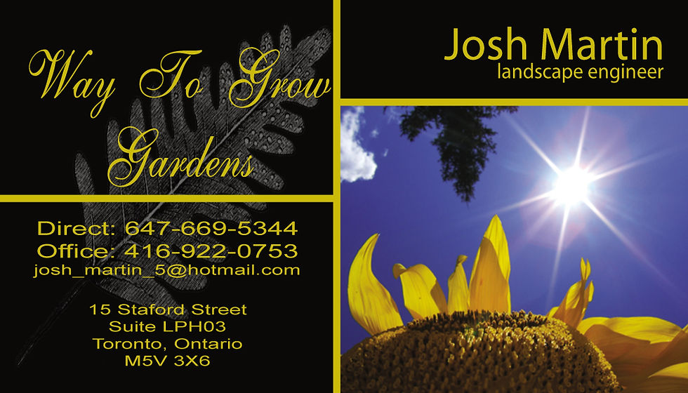 WTG Business Cards.jpg