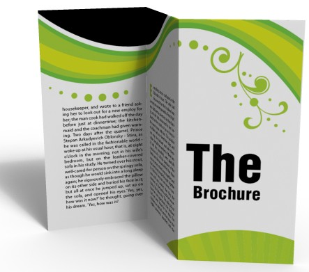 3 Fold Brochure Template