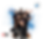 7 דניאל אתניקס 2.png