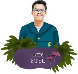arie.png