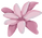 bunga 3.png