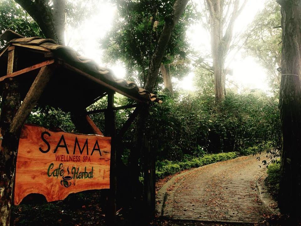 44933432_453049291766753_186530081772929