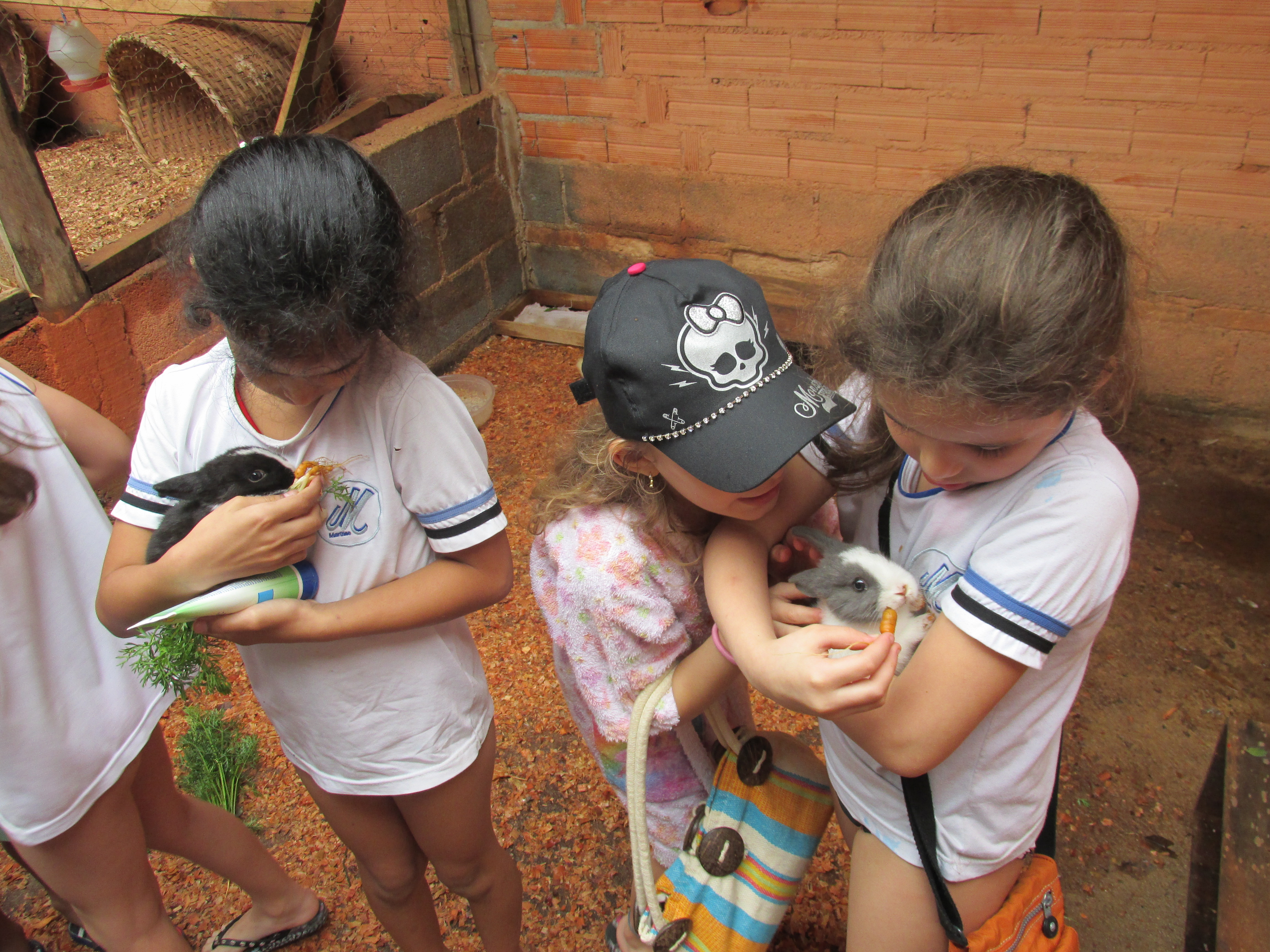 Crianças e bichinhos