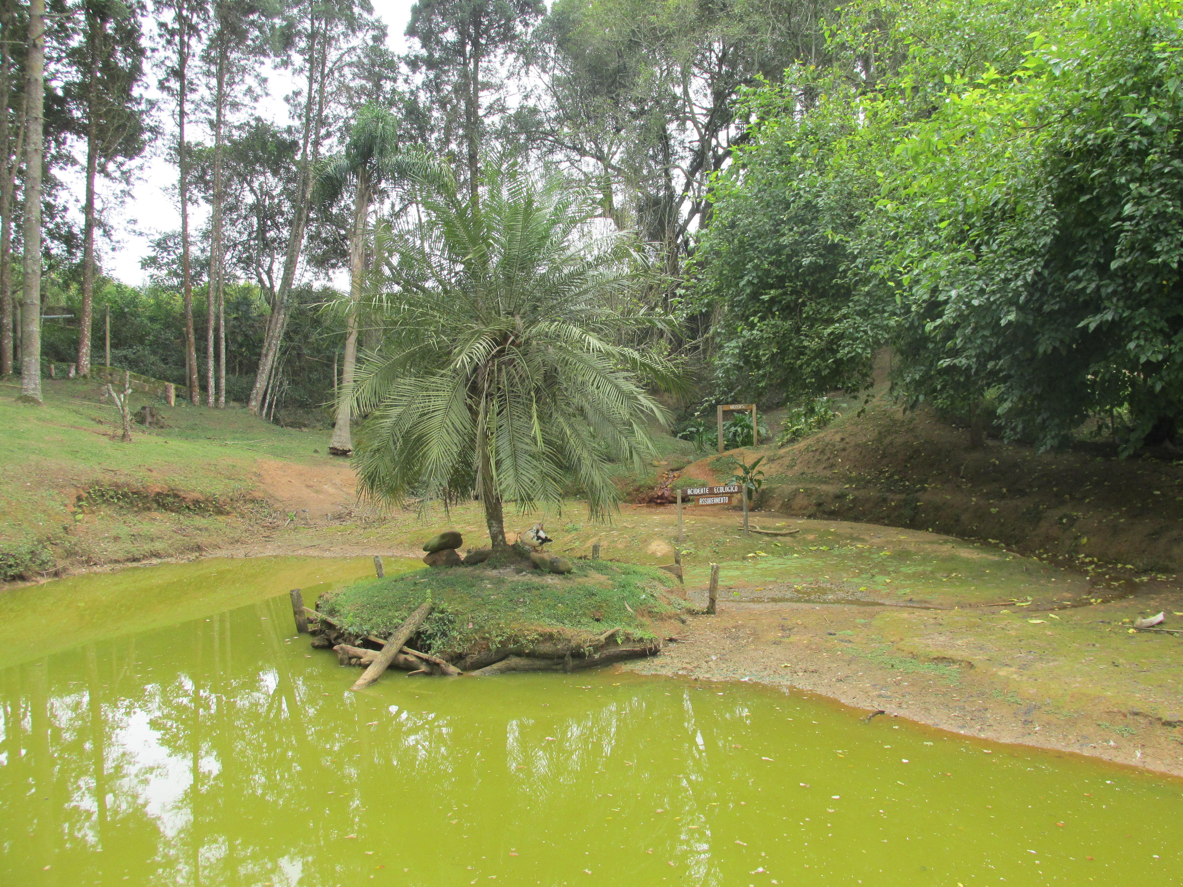 Lago