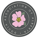 GREY_PINK ROSE DAA (2).png
