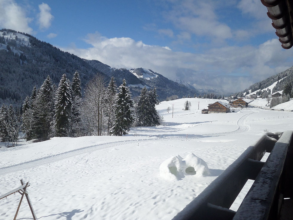Balderschwang im WInter