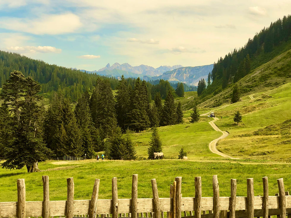 Wanderwege direkt am Haus