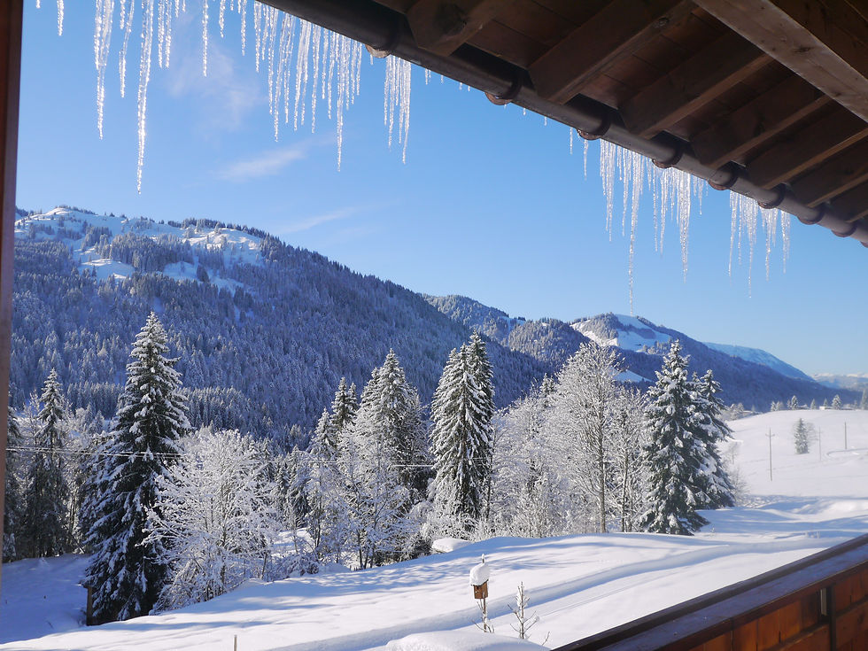 Balderschwang im WInter
