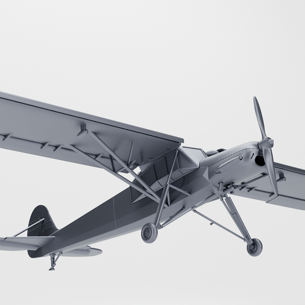 Прев'ю: Fieseler Fi 156 Storch + 3 пілоти (Німеччина, Друга світова війна) — КОМЕРЦІЙНЕ ВИКОРИСТАННЯ