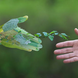 Sustainability in construction