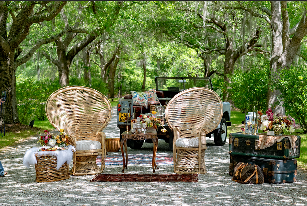 Thumbnail: CHA CHA Peacock Chair