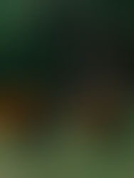 Moody Fall Magic at 44 Queen Street: A Charleston Evening of Local Artistry