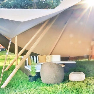 Bonnaroo - The French Eclectic Blog