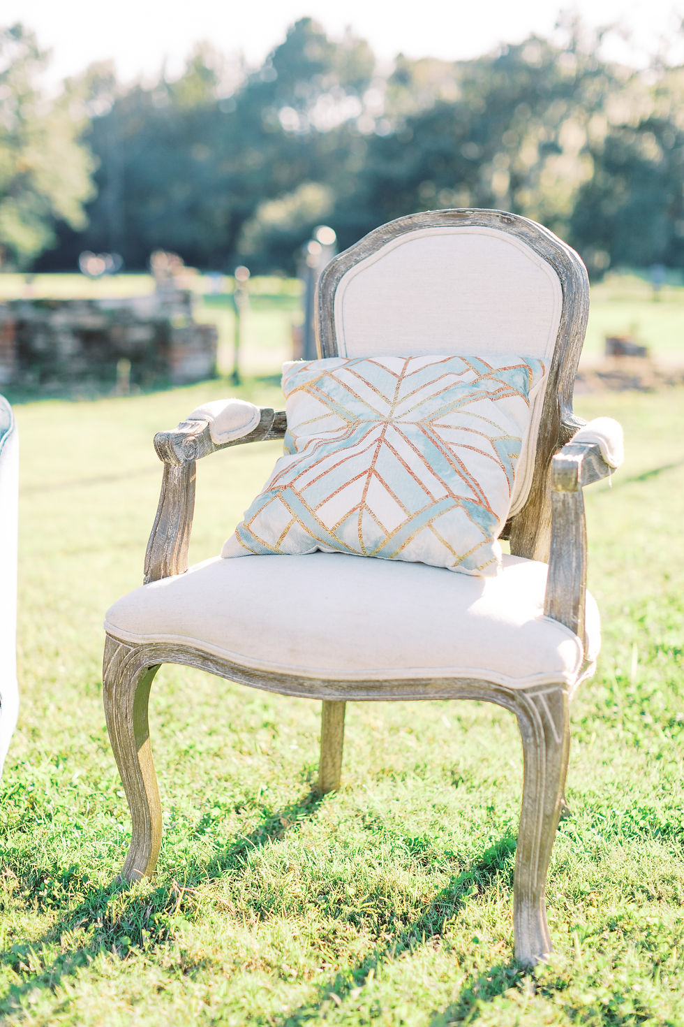 Thumbnail: DIAMOND BACK Pillows