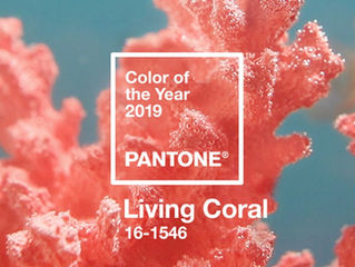 Ya es oficial: el Living coral será el color del 2019.