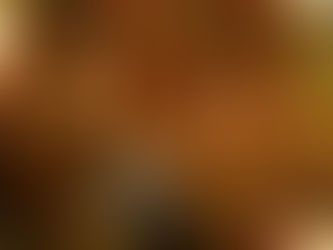 LIBRAIRIE'S Photo Gallery-0114