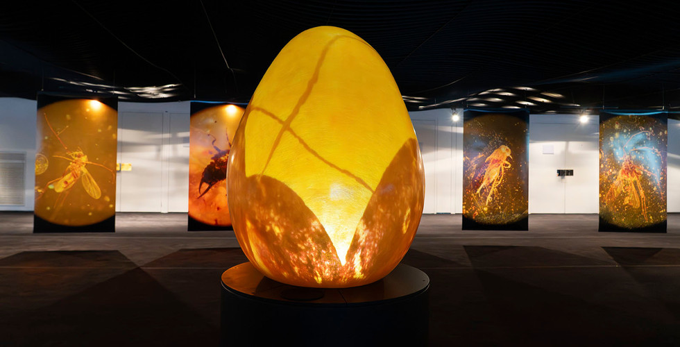 Exposition « Captifs du temps » d'Alžběta Wolfová, à la Philharmonie de Paris. © Beverly David