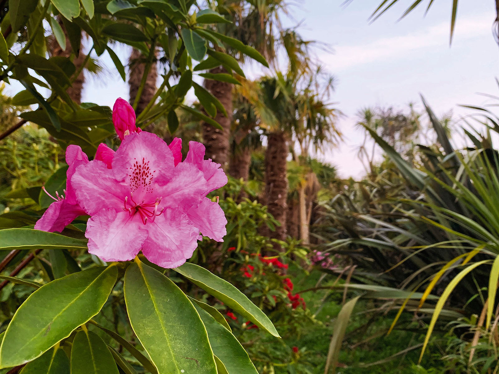 Formulaire Prix de l'Art du Jardin 2026 | Fondation Signature