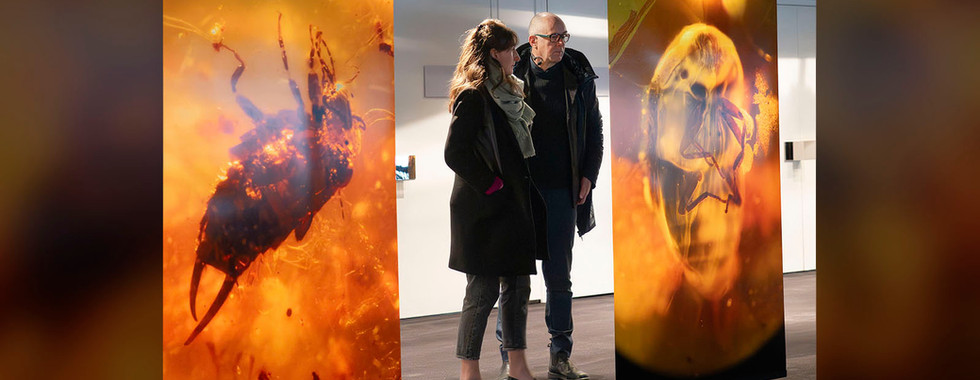 Exposition « Captifs du temps » d'Alžběta Wolfová, à la Philharmonie de Paris. © Beverly David