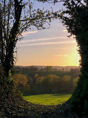 WEB_Le Jardin de La Mothe_12.jpg