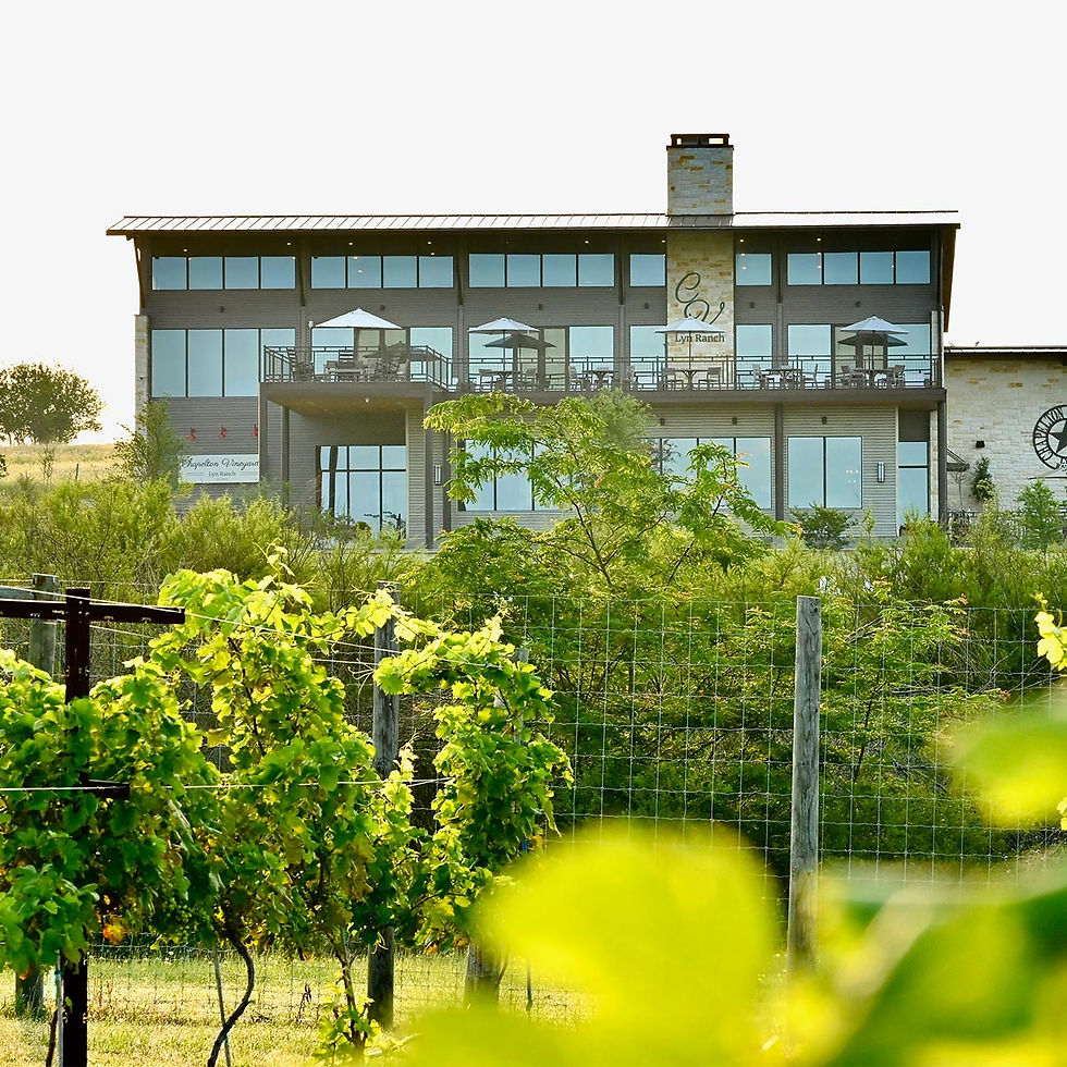 Vineyard tours in Brenham, Texas for a wedding weekend