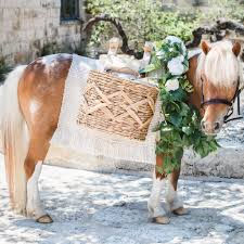 Eye-level view of a charming beer burro carrying drinks