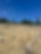 IMG_3531.jpeg