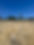 IMG_3532.jpeg